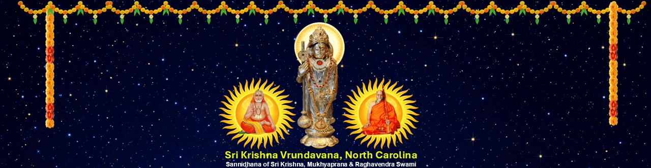 skvnc home page image