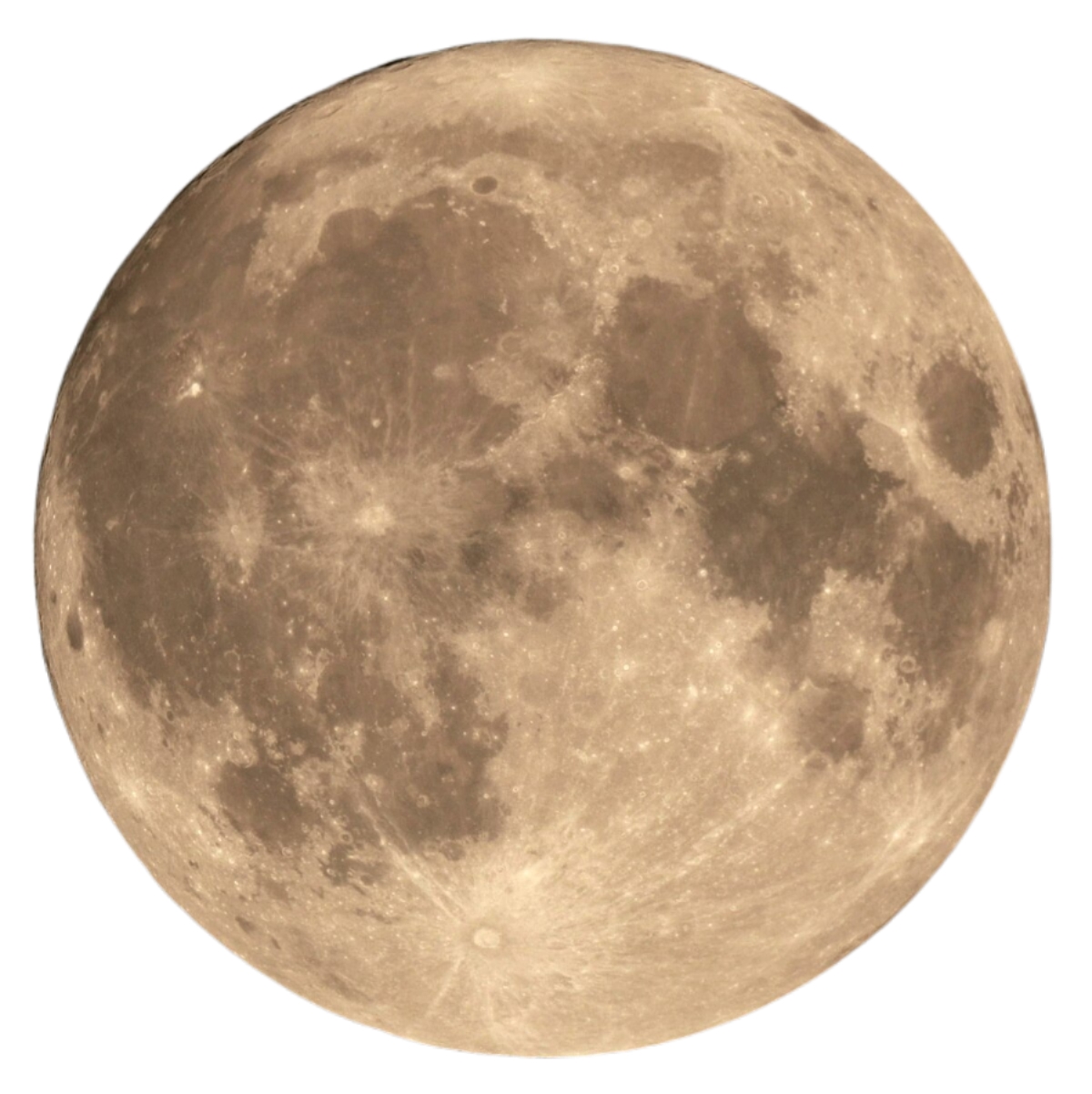 Poornima